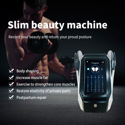 7 جهاز Tesla Intensity Body لتنحيف الدهون باستخدام HIEMS